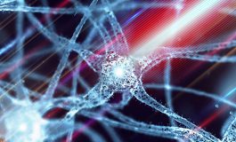 Optogenetics Tech for Long-Term Changes in Neuronal Excitability